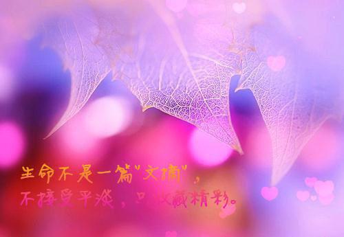 全本小说苗疆弃后孟朔by佚名免费阅读