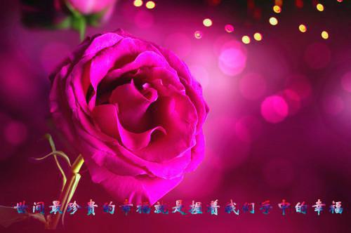 最新章节许南意封忱宴_许南意封忱宴已完结