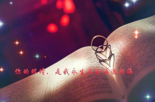 全本免费小说二爷,夫人她又把人算死了!沈修瑾苏乔完结版阅读