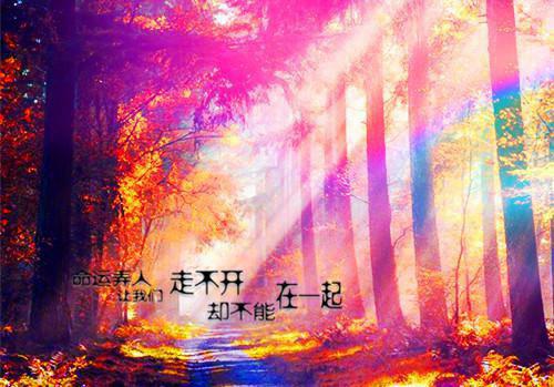 火爆小说周若欣元景文免费阅读