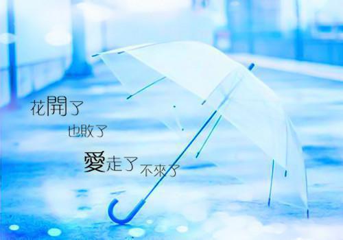 由我贪恋着迷小说全本完结版免费阅读
