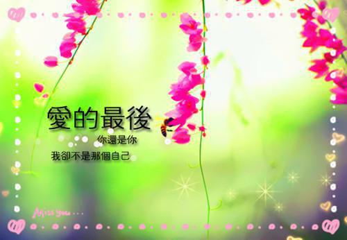 作者为小楚的小说林风苦涩一笑阅读