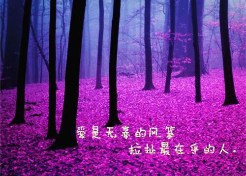 晚安优美正能量的句子