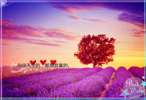 桑茗陆缜免费阅读无弹窗桑茗陆缜（桑茗陆缜）全文免费阅读无弹窗大结局_(桑茗陆缜)桑茗陆缜最新章节列表（桑茗陆缜）