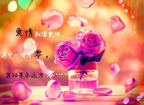 作者为火爆山河的小说天命狂龙免费阅读