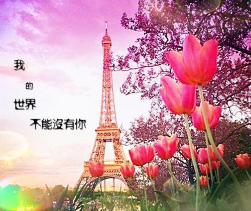 一个大柚子的小说殿主出狱：前妻全家吓跪了林羽沈语嫣全文在线阅读