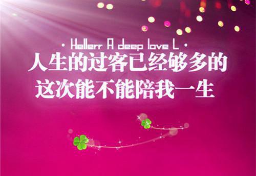 《热门榜单贵女重生后,全京城都在等她出手虐渣》江善盛元帝完结版全章节阅读