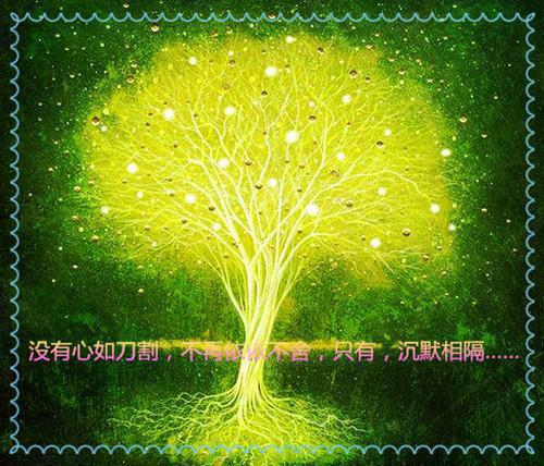 笙笙不回响星森最新章节精彩试读