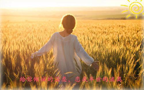全章节小说乡村神医传承by请你吃火龙果阅读