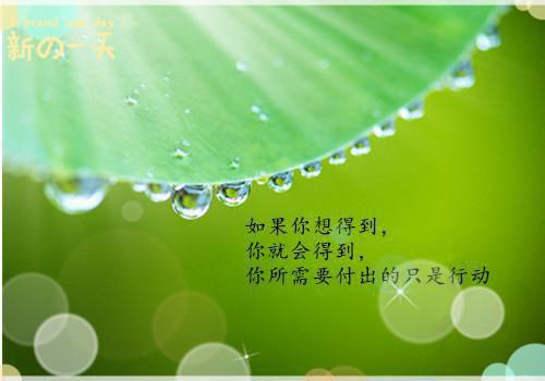 言情作品穿越后,打造日不落大明帝国朱由校方从哲完结版免费小说全文阅读