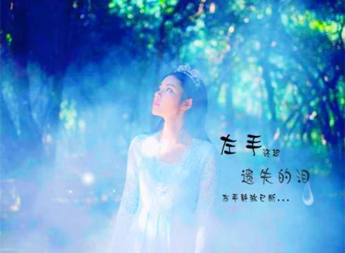 杜晚歌黎司期小说小说黎司期杜晚歌热门小说完整版阅读