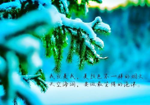 宋惜惜战北望完整全文阅读 宋惜惜战北望结局无删节
