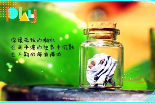 《真千金马甲被爆全京圈都跪了！》小说目录阅读第6章这个小孩不普通