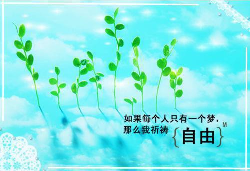 东北反派：一声你嘎哈带偏女主「精彩小说」古武,陆鸣,沈红大结局阅读