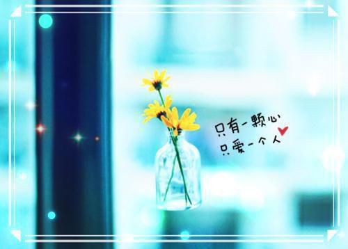 官场：一个小人物的野望（杜玉峰阮玉玲）最新章节_官场：一个小人物的野望全文阅读