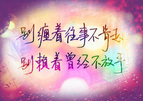 丫鬟升职记最新小说（月娘周长安）全文阅读