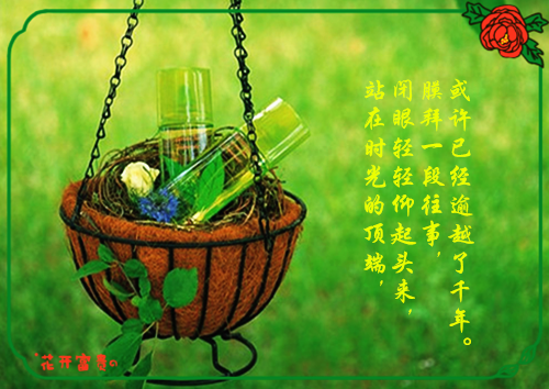 穿书七零，下乡知青有空间宋星晚程砚最新章节完整版小说阅读
