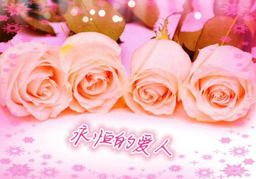 杨小瑜姬钺（杨小瑜姬钺）全文免费阅读无弹窗大结局_杨小瑜姬钺最新章节列表（杨小瑜姬钺）