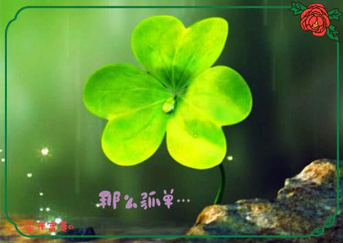 唐晗玥华以宸小说全文（唐晗玥华以宸）全文免费阅读无弹窗大结局_（唐晗玥华以宸小说全文无弹窗）唐晗玥华以宸小说全文小说最新章节列表（唐晗玥华以宸小说全文）