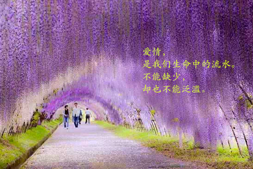 小编军婚甜又欲:最强军官被勾了魂(余琰鹿嘉婳)最新章节_小编军婚甜又欲:最强军官被勾了魂全文阅读
