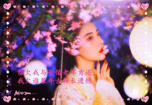 全本我转身离开后，他后悔了（心语季时辰）最新章节列表_全本我转身离开后，他后悔了全文阅读