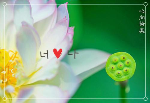 替嫁第一天，疯批残王被我摁在床上亲宝藏美文全文阅读（云昭月沈北晏）最新章节_替嫁第一天，疯批残王被我摁在床上亲宝藏美文全文阅读