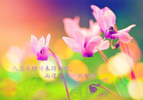 全网独家（七年情深奈何缘浅：结局+番外+后续）七年情深奈何缘浅：结局+番外+后续完整章节已完结阅读_沈雨晴叶深祁最新章节列表（七年情深奈何缘浅：结局+番外+后续）