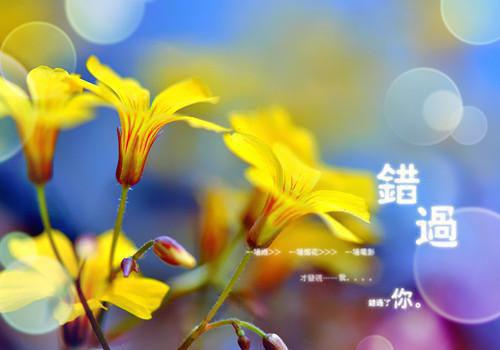 热门小说夕毓沈开霁佚名全文免费阅读