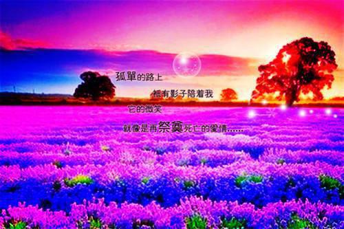 孟沅儿君泽衍（孟沅儿君泽衍）全文免费阅读无弹窗大结局_孟沅儿君泽衍最新章节列表（孟沅儿君泽衍）