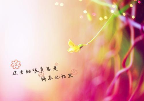 谢意珊陆珩越（谢意珊陆珩越）全文免费阅读无弹窗大结局_（谢意珊陆珩越）谢意珊陆珩越最新章节列表_笔