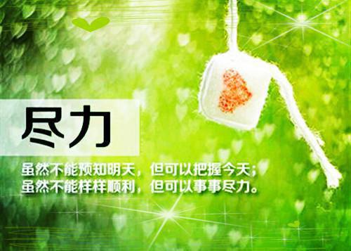 佚名的小说我是霸总娇妻里的怨种医生江晟璟然全文在线阅读