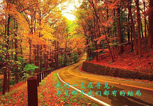 魏玉凰赵风澈在线阅读（魏玉凰赵风澈）全文免费阅读无弹窗大结局_魏玉凰赵风澈最新章节列表（魏玉凰赵风澈）