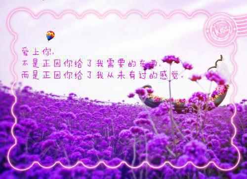 一段关于爱情孤独的句子