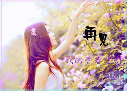宝宝只想安静长大边露,南枝,都会最新章节精彩试读