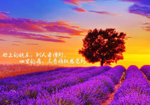 玄幻反派:女主把握不住,让爹来(叶昊古乾)全文浏览_玄幻反派:女主把握不住,让爹来全文浏览