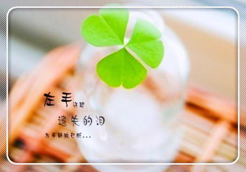 叶知渔秦弋叶知渔秦弋小说大结局阅读