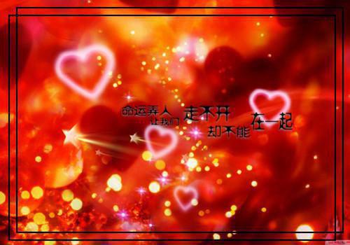 全文小说花枝编号by佚名阅读