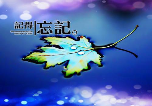感恩精神正能量的句子