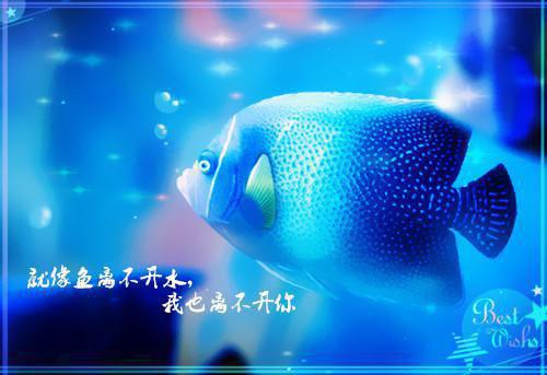 精品四月顾容珩首辅大人的宠妾小说全文免费阅读_精品四月顾容珩首辅大人的宠妾阅读