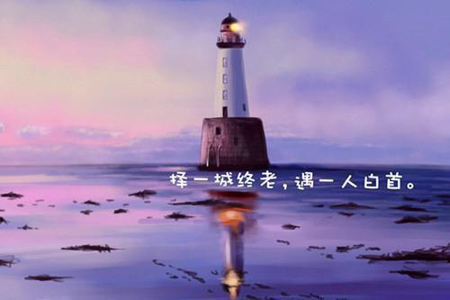 昨夜星辰昨夜风 免费（安小离刘妈）全文免费阅读_昨夜星辰昨夜风 免费（安小离刘妈）最新章节列表