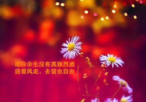 倾心编著猪友一堆，红颜无数，这叫年少有为全文阅读（裴双郑子林）最新章节_倾心编著猪友一堆，红颜无数，这叫年少有为全文阅读