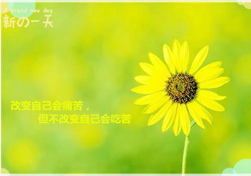 作者为灵猫小说的小说重生后我任由妹妹放弃高考阅读