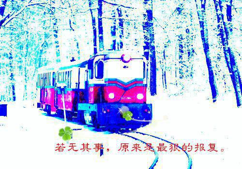 宁音鹊纪言廷全文免费阅读（宁音鹊纪言廷）全文免费阅读无弹窗大结局_宁音鹊纪言廷全文免费阅读最新章节列表（宁音鹊纪言廷）