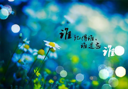 小说桑杺陆骁by桑杺大结局免费阅读