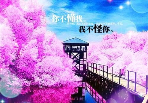主角为谢成安,侯府,沈家宝的小说全文病秧子侯爷前夫又在作妖了免费阅读