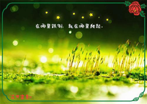 畅读 小妻子太凶，陆爷把持不住了兔旺旺小说全文免费阅读