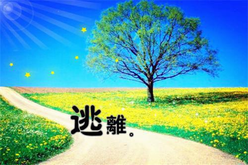 褚晋明殷韵嫣（褚晋明殷韵嫣）全文在线免费阅读无弹窗_褚晋明殷韵嫣最新章节列表（褚晋明殷韵嫣）