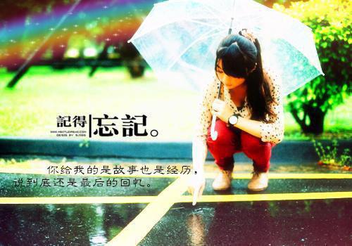 火爆小说穿成万人嫌，我一拳创飞修真界师尊,宋昭,叶霓免费阅读