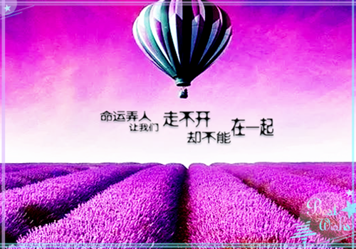 戚小卿墨珩（戚小卿墨珩小说）全文免费阅读无弹窗大结局_（戚小卿墨珩）戚小卿墨珩小说最新章节列表（戚小卿墨珩小说）