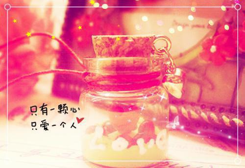 楚白莺夜轩楚白莺夜轩全文完结版小说阅读